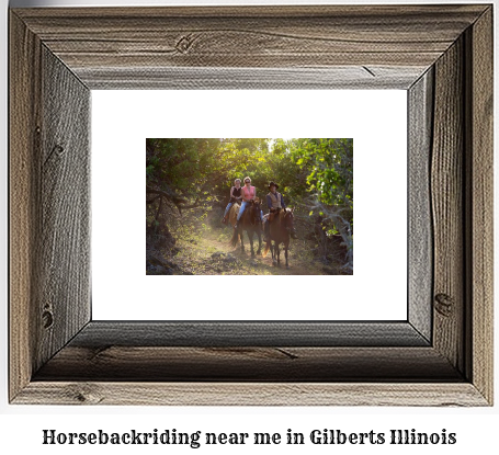 horseback riding near me in Gilberts, Illinois